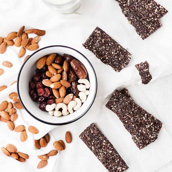 Raw Paleo Cacao & Coconut Bars