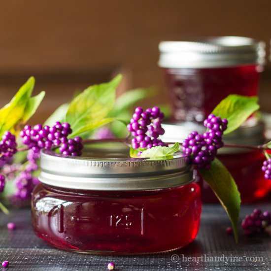 Beautyberry Jelly