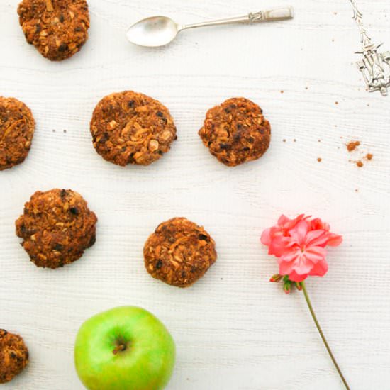 Gluten Free Breakfast Apple Oaties