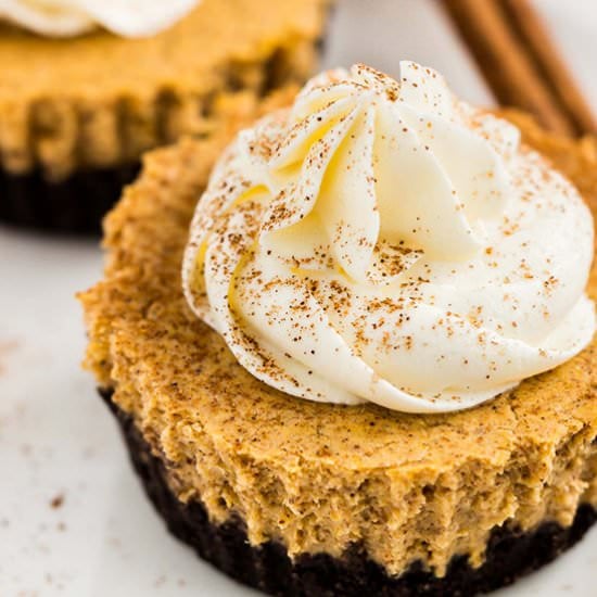 Chocolate Mini Pumpkin Cheesecakes