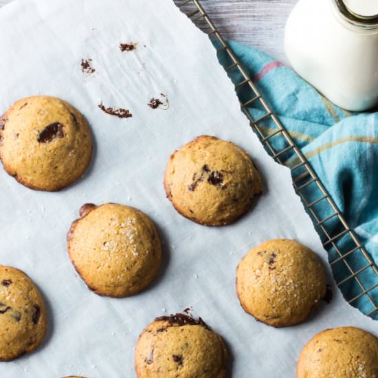 GF Chocolate Chip Cookies