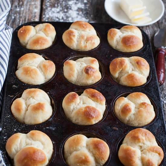 Sour Cream Yeast Rolls