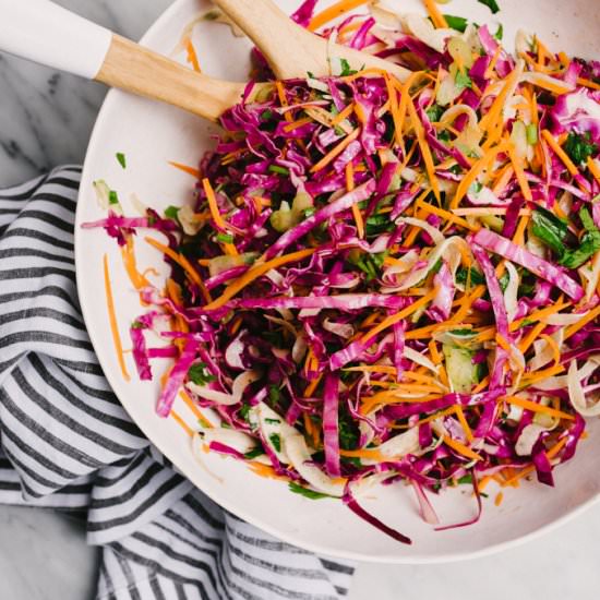 Apple Cider Vinegar Coleslaw