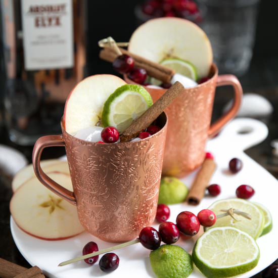 Cranberry Apple Cider Moscow Mule