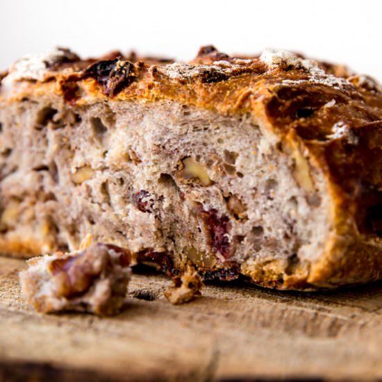 No-Knead Crusty Cranberry Nut Bread