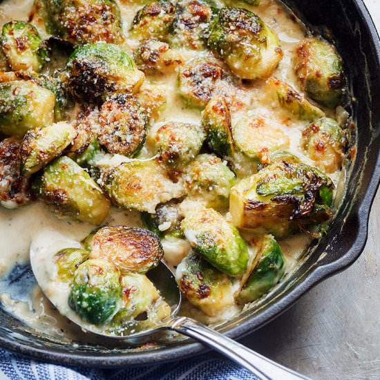 Creamy Brussels Sprouts Gratin