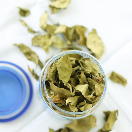 How to Preserve Fresh Curry Leaves