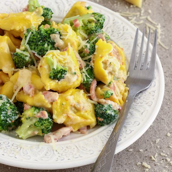 cheese tortellini pasta