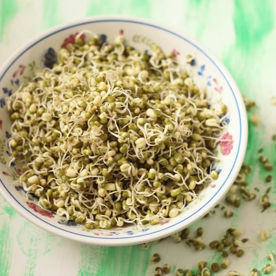 How To Grow Sprouts