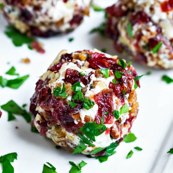 Candied Pecan Cranberry Goat Cheese