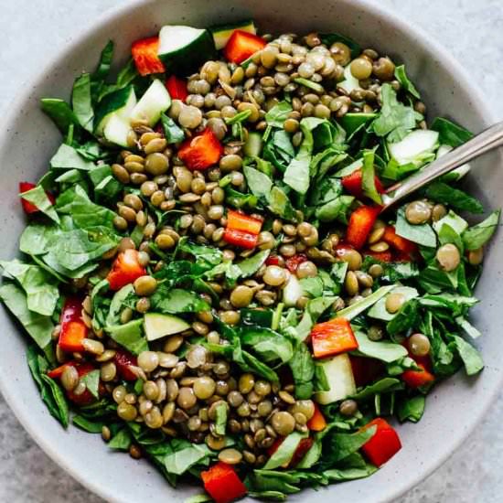 Lemon Balsamic Lentil Salad