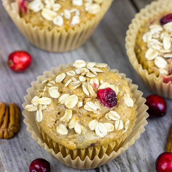 Cranberry Oat Muffins