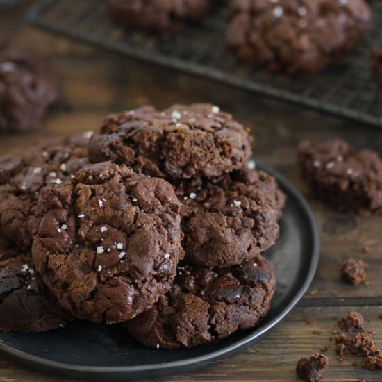 Double Chocolate Peanut Butter Cookies