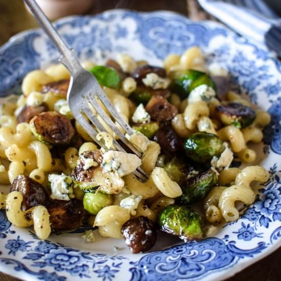 Sprout Blue Cheese & Chestnut Pasta