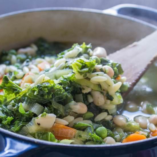 Autumn Vegetable Minestrone