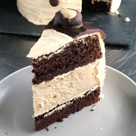 Buckeye Cheesecake Cake