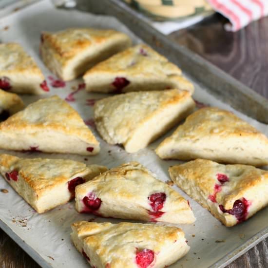 Cranberry Scones