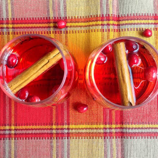 Cranberry Ginger Spritzer