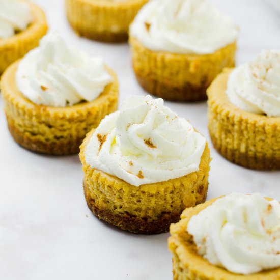Mini Pumpkin Ricotta Cheesecakes