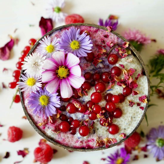 Layered Chia Pudding