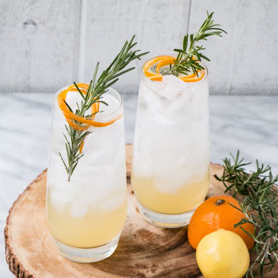 Meyer Lemon Rosemary Tom Collins