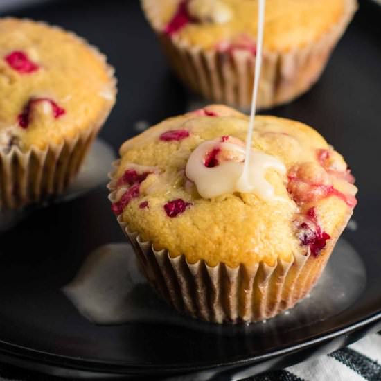 Healthy Cranberry Orange Muffins