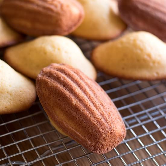 Easy Madeleines