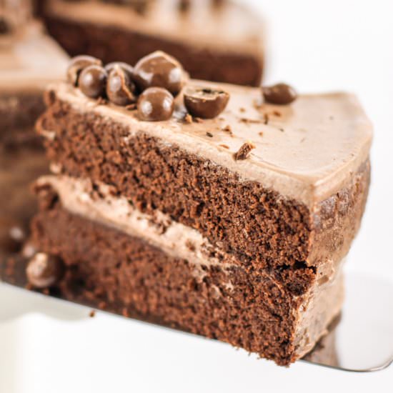 Sugar Free Low Carb Mocha Cake