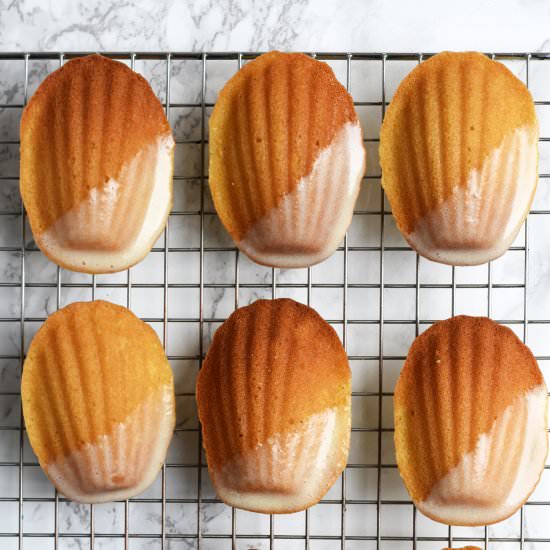 French Eggnog Madeleines