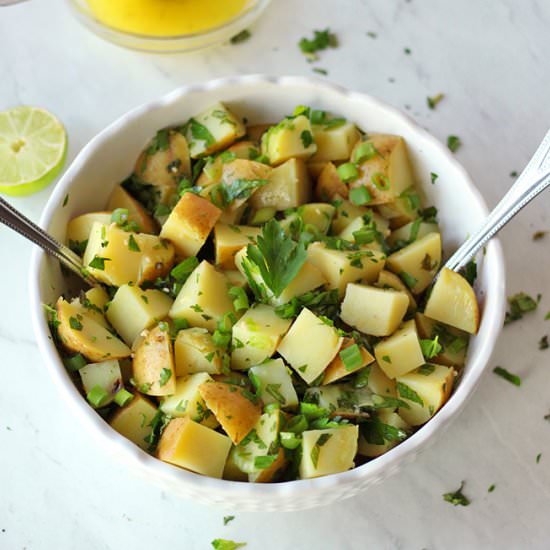 Potato Salad Scoop