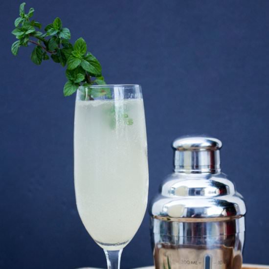 Grey Goose Le Fizz