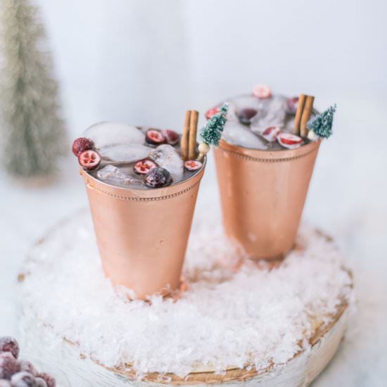 Cranberry Apple Cider Moscow Mules
