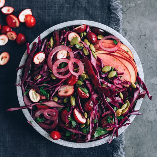 Sauerkraut Salad with Cranberries