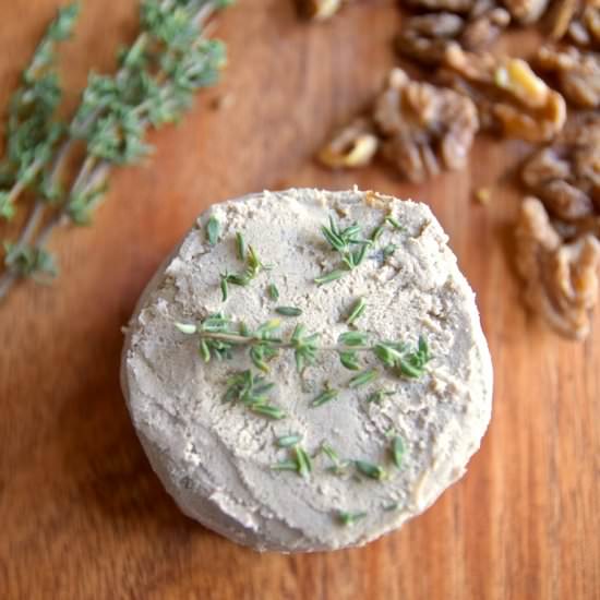 Fermented Vegan Walnut Cheese