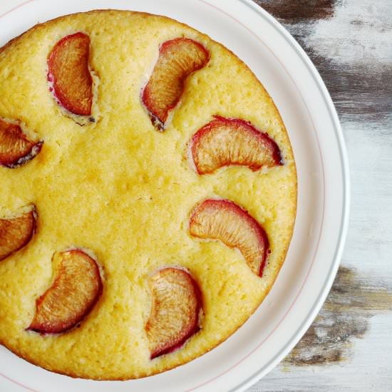 Plum and white chocolate cake