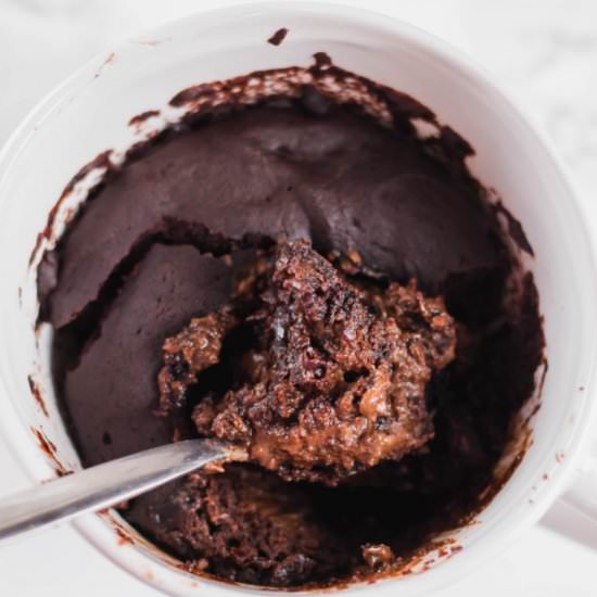 Vegan Chocolate Mug Cake