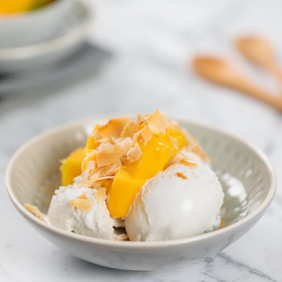 Coconut & Vanilla Ice Cream