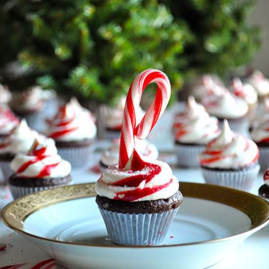 Chocolate Peppermint Mini Cupcakes