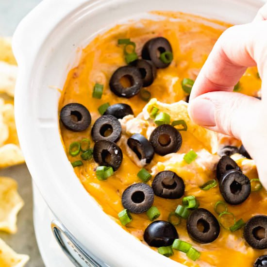 Crock Pot Chicken Enchilada Dip