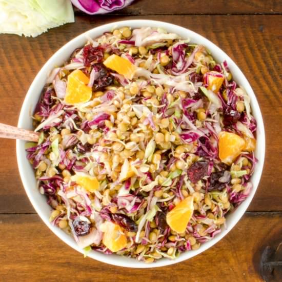Sprouted Lentil and Cabbage Salad