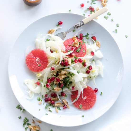 Winter Fennel Salad