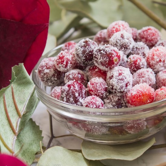 Sparkling Sugar Coated Cranberries