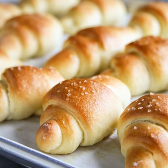 Heavenly One Hour Dinner Rolls