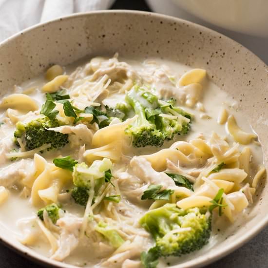 Chicken Alfredo Soup