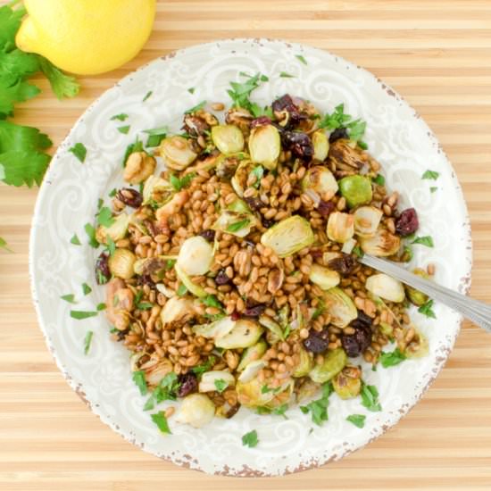 Wheat Berry Brussels Sprouts Salad