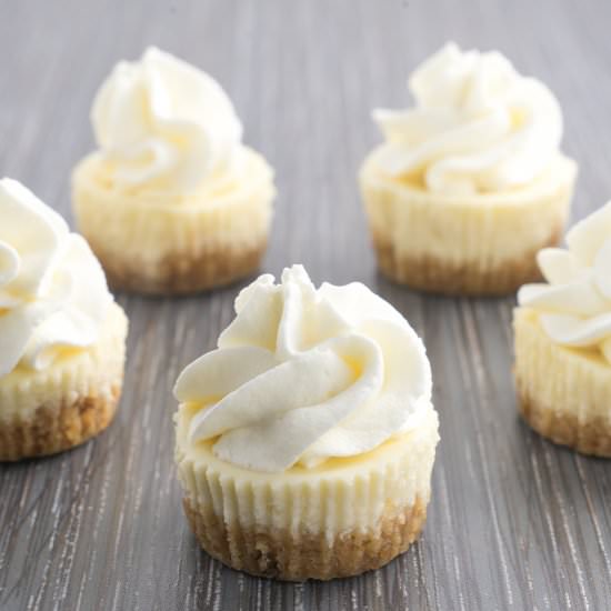 Mini Cheesecakes