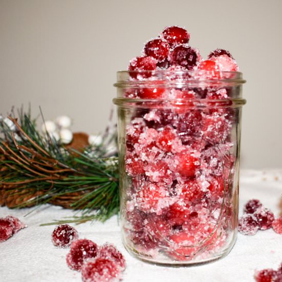 Sugared Cranberries