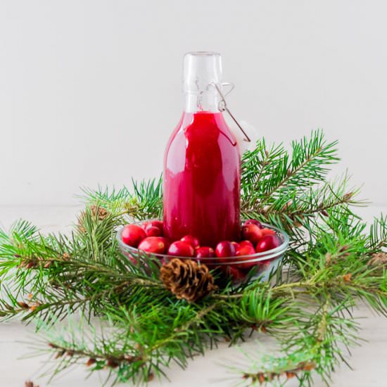 Quick Easy Cranberry coulis
