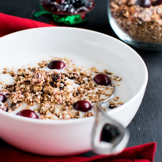 5 Ingredient Cranberry Granola