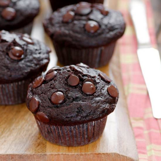 Chocolate and Olive Oil Muffins